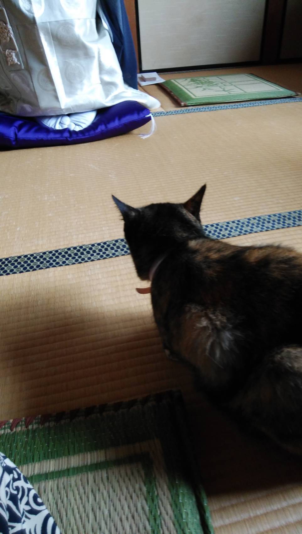 “暑い”は“熱い”のだ_b0334704_02332496.jpg