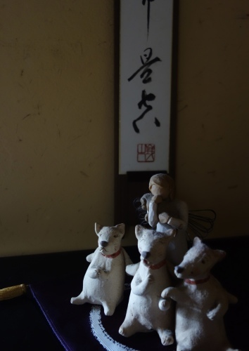 お久しぶりです_a0197730_23310599.jpeg