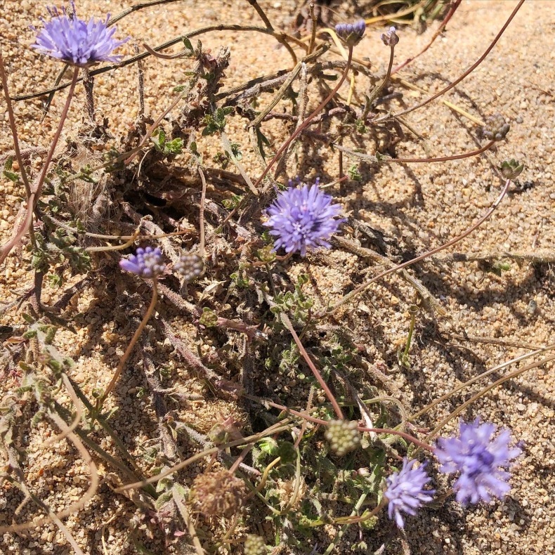 ユー島のかわいいディテール いろいろ_a0231632_15450374.jpeg