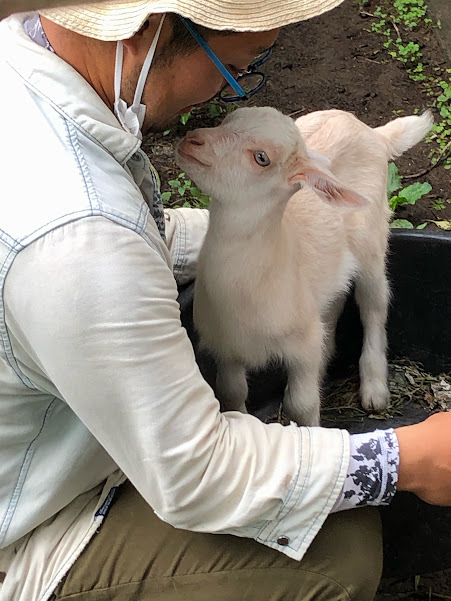 ラジオの知らせと、えがおの森の山羊たち : えがおの森メンバーの活動