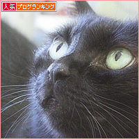 18歳の猫_a0389088_17132111.jpg