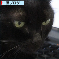 18歳の猫_a0389088_17132192.jpg