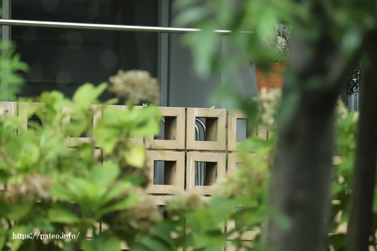 足立区住宅公社の中高層マンションと外構の表情！_a0214329_15280836.jpg