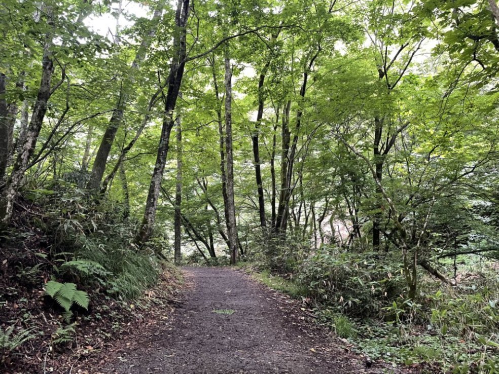 福島県猪苗代のパワースポット『達沢不動滝』で癒されてきました_f0023333_22595926.jpg