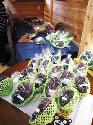 熊本ぶどう　社方園　高級種なしぶどうは大好評販売中！第13回ぶどう祭りを令和4年8月21日(日)に開催！_a0254656_18242737.jpg