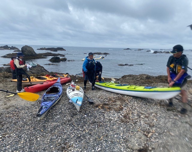 【スタッフ研修】シーカヤックで行くゼニガタアザラシウォッチングｉｎ襟裳岬_d0198793_11213732.jpg