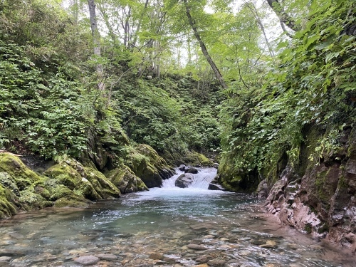 沢から登る『目国内岳』_d0198793_15290556.jpeg