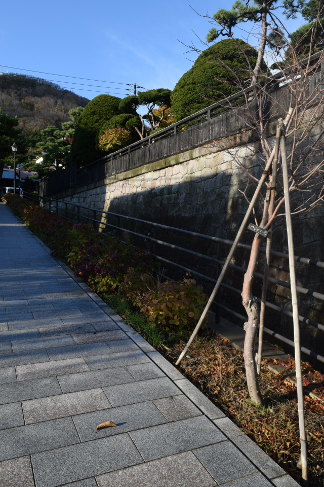 函館元町の旧相馬家住宅(函館の建築再見2022)_f0142606_07524172.jpg