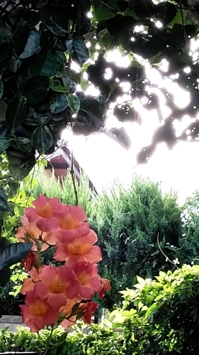 いま_f0155808_06591188.jpg