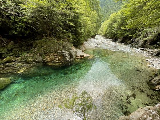 8/10、長野県木曽郡「阿寺(あてら)渓谷」へ_e0045768_20415286.jpg