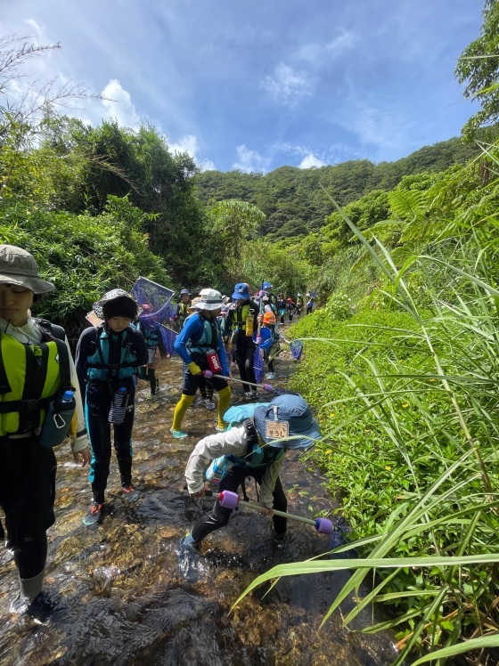 わんぱく冒険学校B〔２日目〕8/18・川の探検。河口から上流へと流れを遡り飛び込み遊びを楽しもう！_d0363878_16285093.jpg