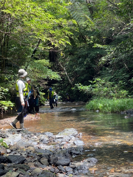 わんぱく冒険学校B〔２日目〕8/18・川の探検。河口から上流へと流れを遡り飛び込み遊びを楽しもう！_d0363878_16315376.jpg