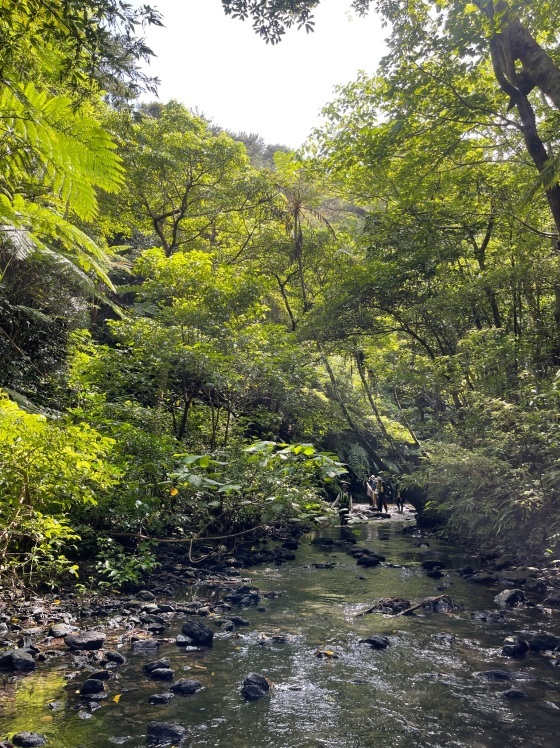 わんぱく冒険学校B〔２日目〕8/18・川の探検。河口から上流へと流れを遡り飛び込み遊びを楽しもう！_d0363878_16371744.jpg