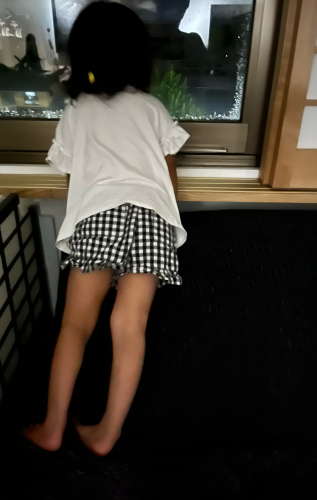 もう秋の気配_f0347891_22005435.png