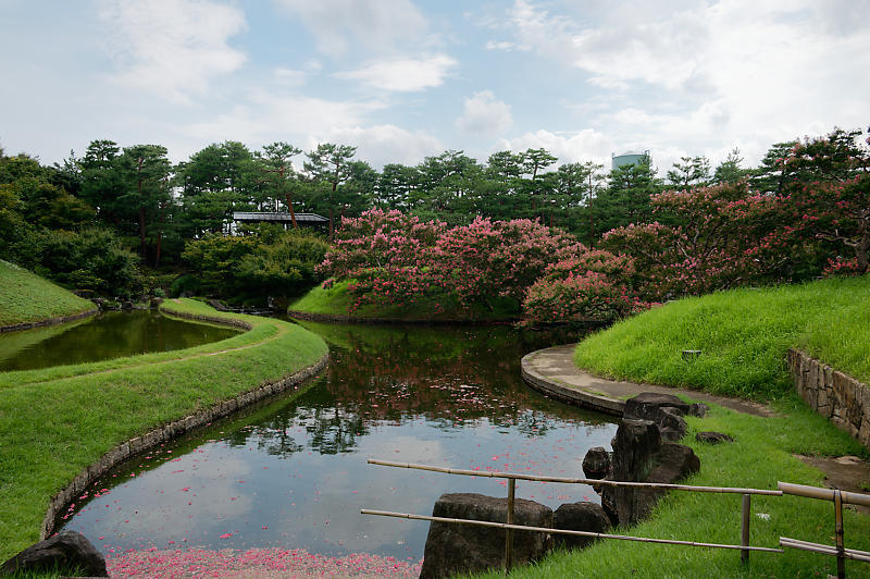 四季の花達 百日紅@梅小路公園朱雀の庭_f0032011_11415998.jpg