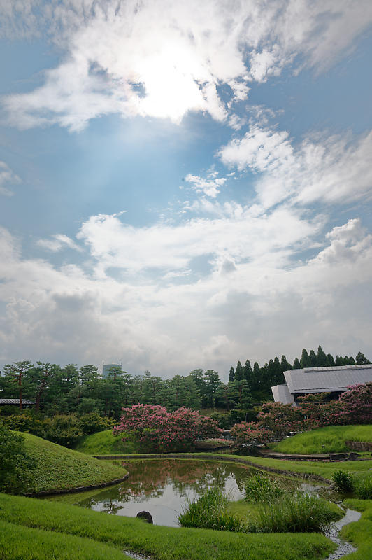 四季の花達 百日紅@梅小路公園朱雀の庭_f0032011_12373823.jpg
