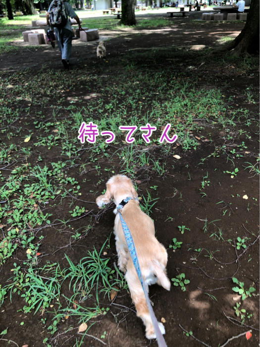 光が丘公園でアリを見る_b0067012_20551137.jpg