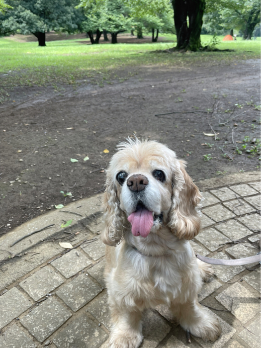 光が丘公園でアリを見る_b0067012_20553429.jpg