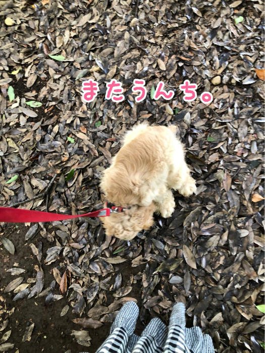 光が丘公園でアリを見る_b0067012_20571608.jpg
