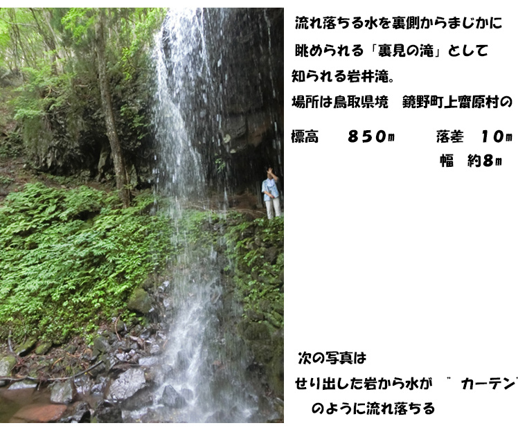 岩井滝を見に行った_b0110029_22432291.jpg