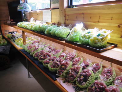 熊本ぶどう 社方園 第13回ぶどう祭り_a0254656_17391471.jpg