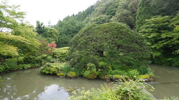 「真癒の湯」で知られる創業400年の温泉宿－川渡温泉・藤島旅館_a0385880_15035325.jpg