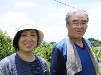 無農薬栽培の『ブルーベリー』朝採り即日発送でお届けします!令和4年の出荷は残り2回!数量限定です!_a0254656_19065768.jpg