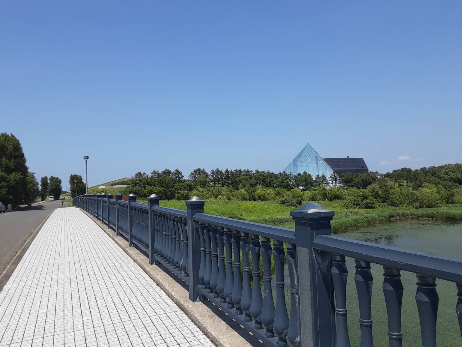 ノルディックウォーキング体験会2022・秋　第１回のお知らせ