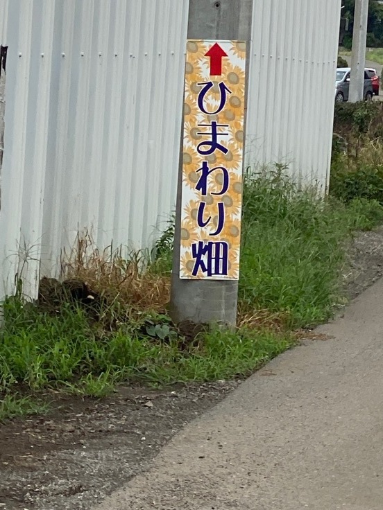 所沢のひまわり畑に行ってきました!_d0122797_13542784.jpg