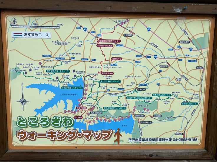 所沢のひまわり畑に行ってきました!_d0122797_14481752.jpg