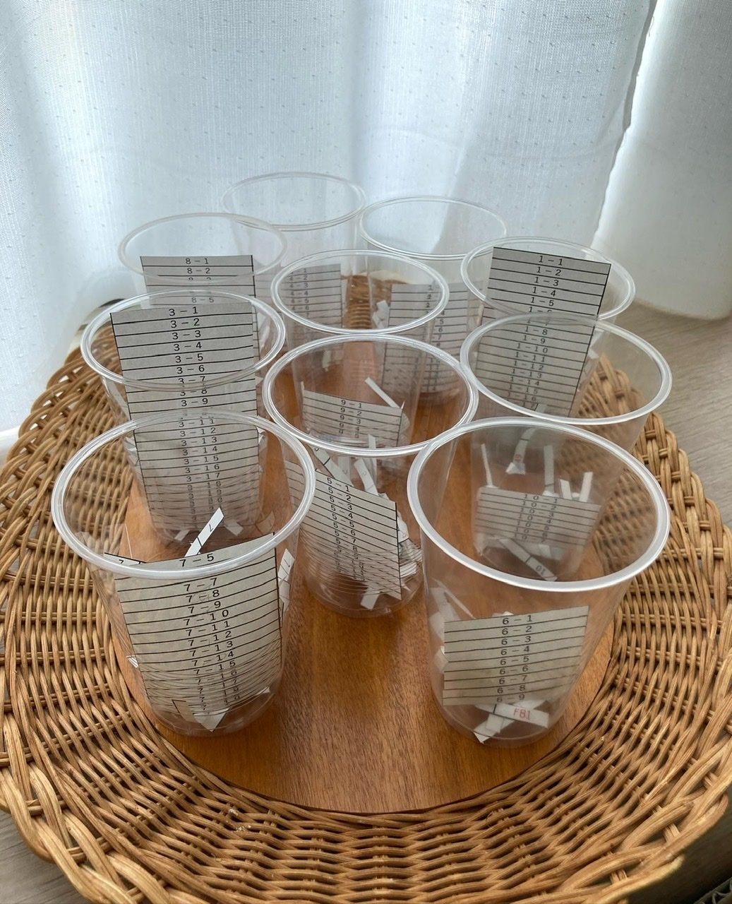 to-go15周年プレゼント企画 抽選結果の発表_c0131818_17020032.jpeg