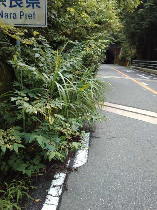 2022年8月の輪活(後編 雨ばかり…)　_a0386742_15384580.jpg