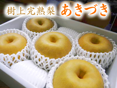 熊本梨 梨のサラブレッド「秋月(あきづき)」令和4年度の先行予約受付開始!豊水、秋麗も大好評販売中!_a0254656_18215676.jpg