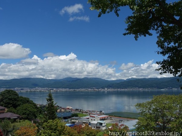 2022年夏 長野県ビーナスラインへドライブ_c0293787_10081627.jpg
