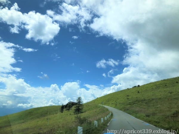 2022年夏 長野県ビーナスラインへドライブ_c0293787_11241060.jpg