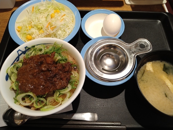 8 24 松屋 スパイシー牛めし小盛 生野菜サラダ 無駄遣いな日々 8 24 松屋 スパイシー牛めし小盛 生野菜サラダ 無駄遣いな日々