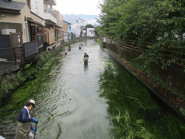 雨で1週間順延して行われた2022年8月の「田宿川の川そうじ」_f0141310_07511942.jpg