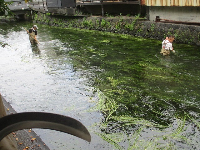 雨で1週間順延して行われた2022年8月の「田宿川の川そうじ」_f0141310_07512757.jpg