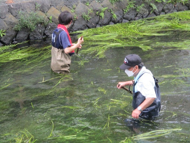 雨で1週間順延して行われた2022年8月の「田宿川の川そうじ」_f0141310_07520811.jpg