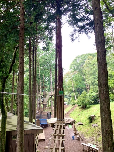 フォレストアドベンチャー箱根_b0145846_23232107.jpeg