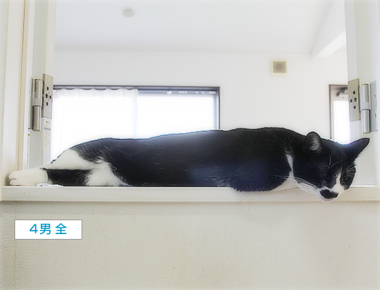 下半身は・・・_a0389088_10481257.jpg