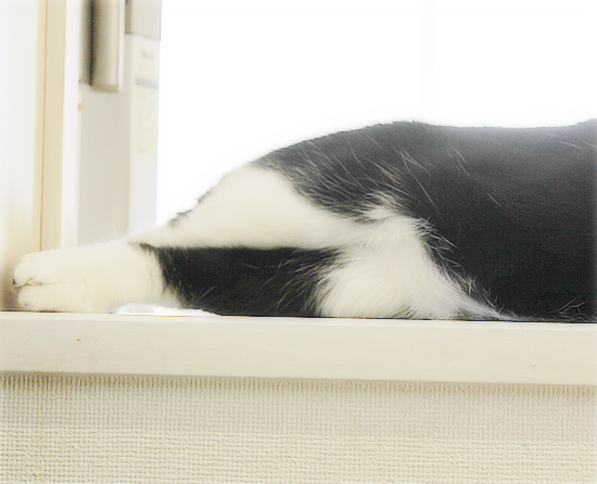 下半身は・・・_a0389088_10481336.jpg