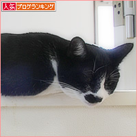 下半身は・・・_a0389088_10481352.jpg