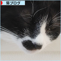 下半身は・・・_a0389088_10481371.jpg