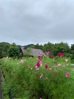 2022 8月25日　曇り　20度_f0210811_08172115.jpg