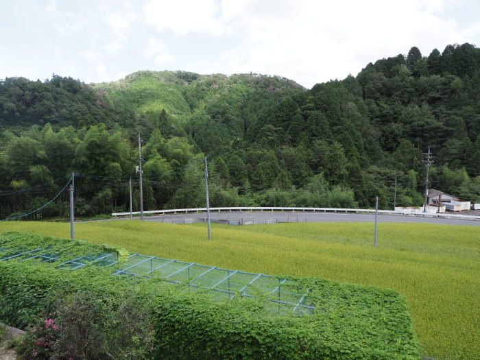 晴れ時々曇り_c0116915_23494774.jpg