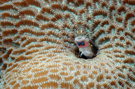 22.8.25 チョイチョイ小出し企画 6_b0100730_19274250.jpg