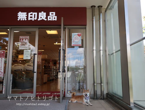 さようならMUJI_e0394031_07433950.jpg