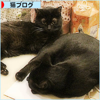 生きてる子も、眠った子も_a0389088_12565711.jpg