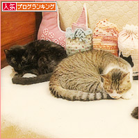 生きてる子も、眠った子も_a0389088_12565785.jpg